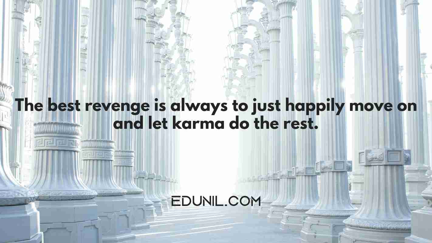 The best revenge is always to just happily move on and let karma do the rest. -  