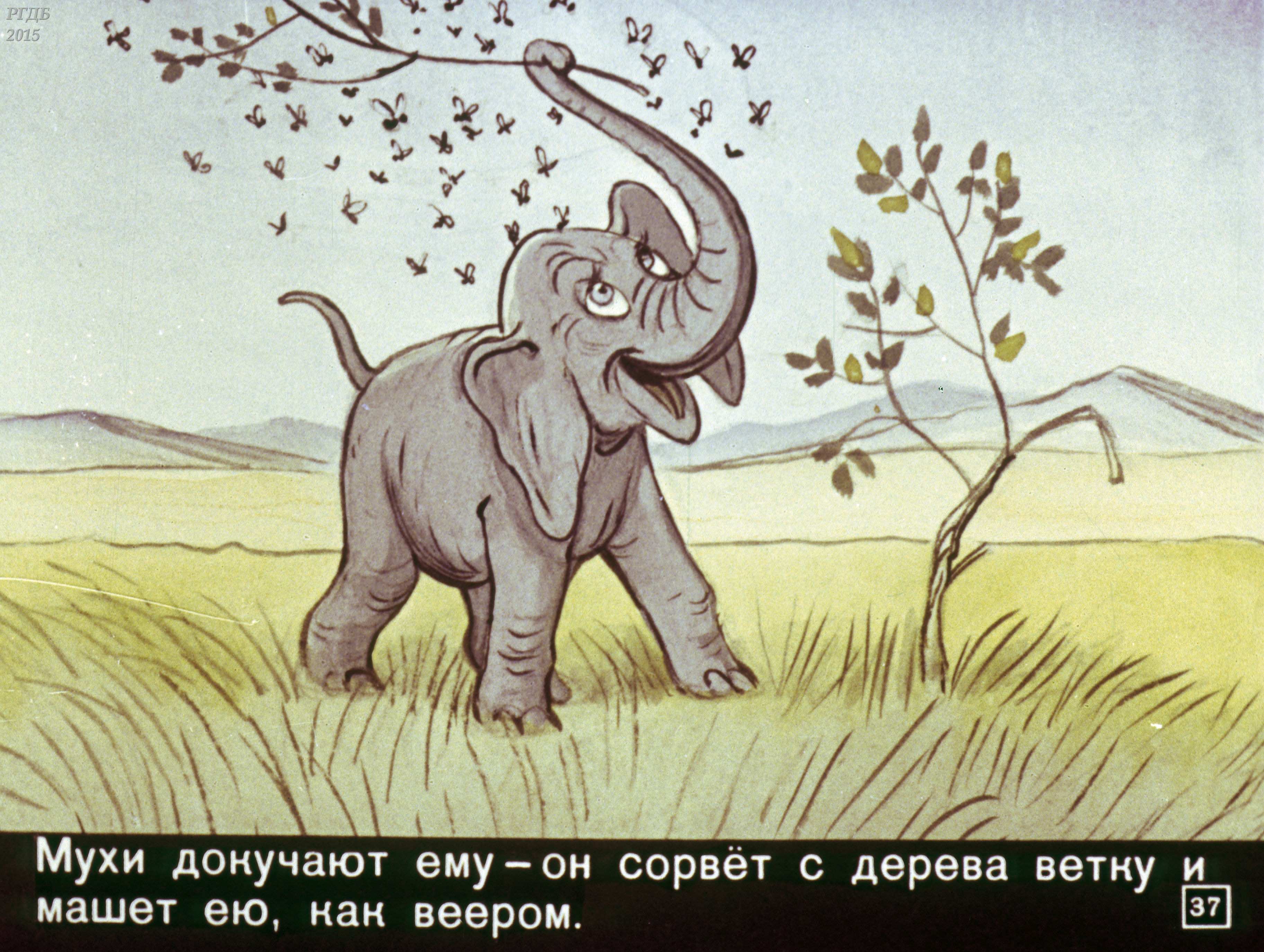 Почему у слона длинный хобот