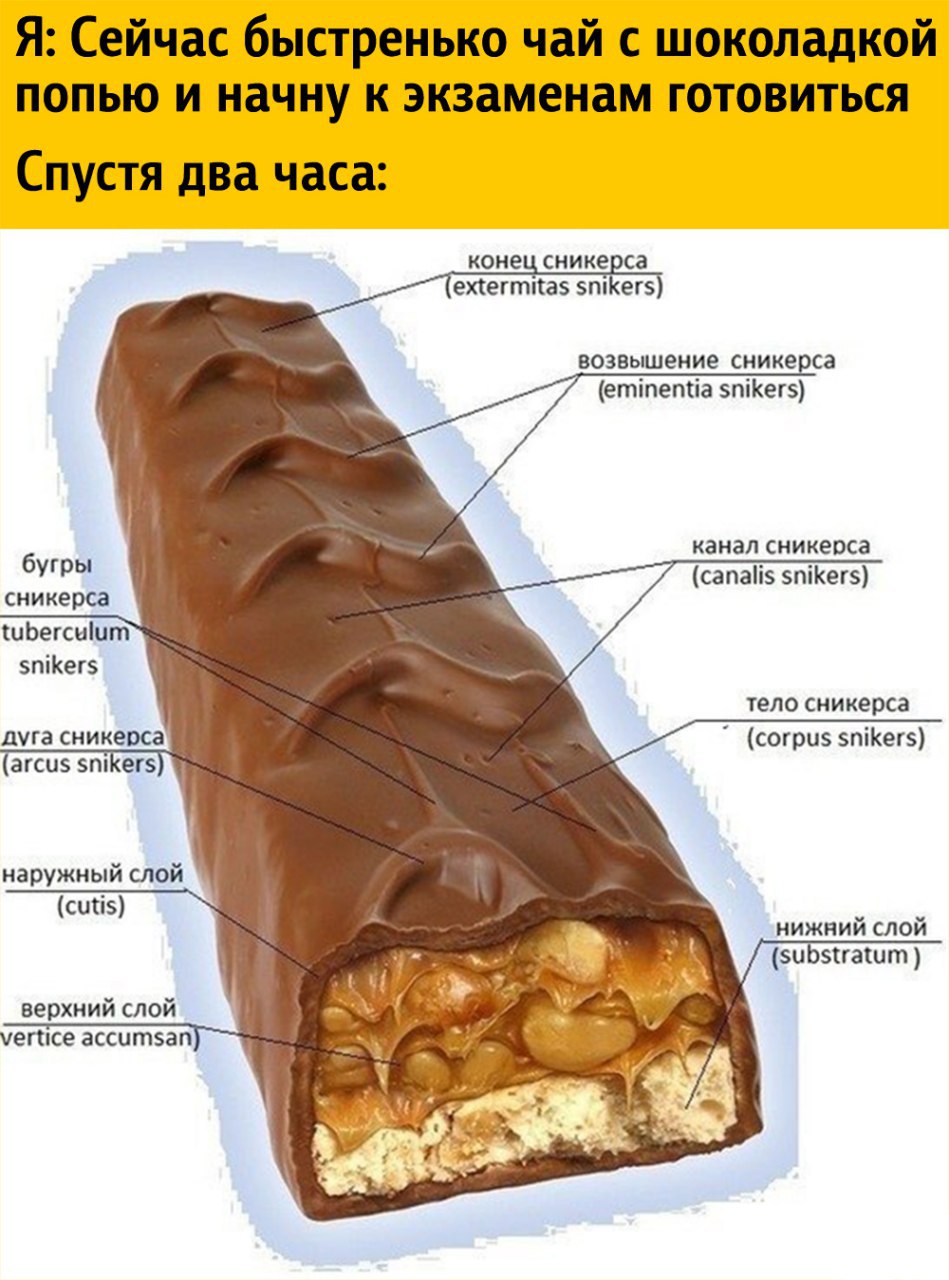 Сникерс шоколадный батончик в разрезе