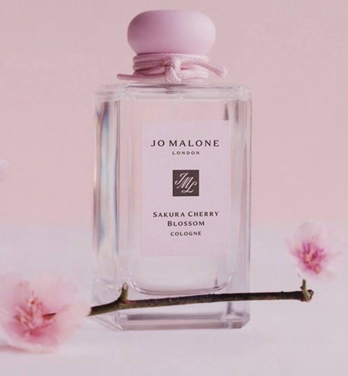 Jo malone cherry blossom. Jo Malone Sakura Cherry Blossom 2020. Черри блоссом Парфюм. Джо Малон Сакура черри. Sakura Cherry Blossom Jo Malone London.