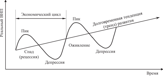 Циклы роста