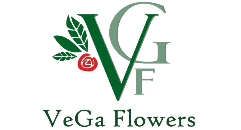 Вега йошкар ола. Vega Flowers сотрудники. Фортеза Флауэрс официальный сайт.