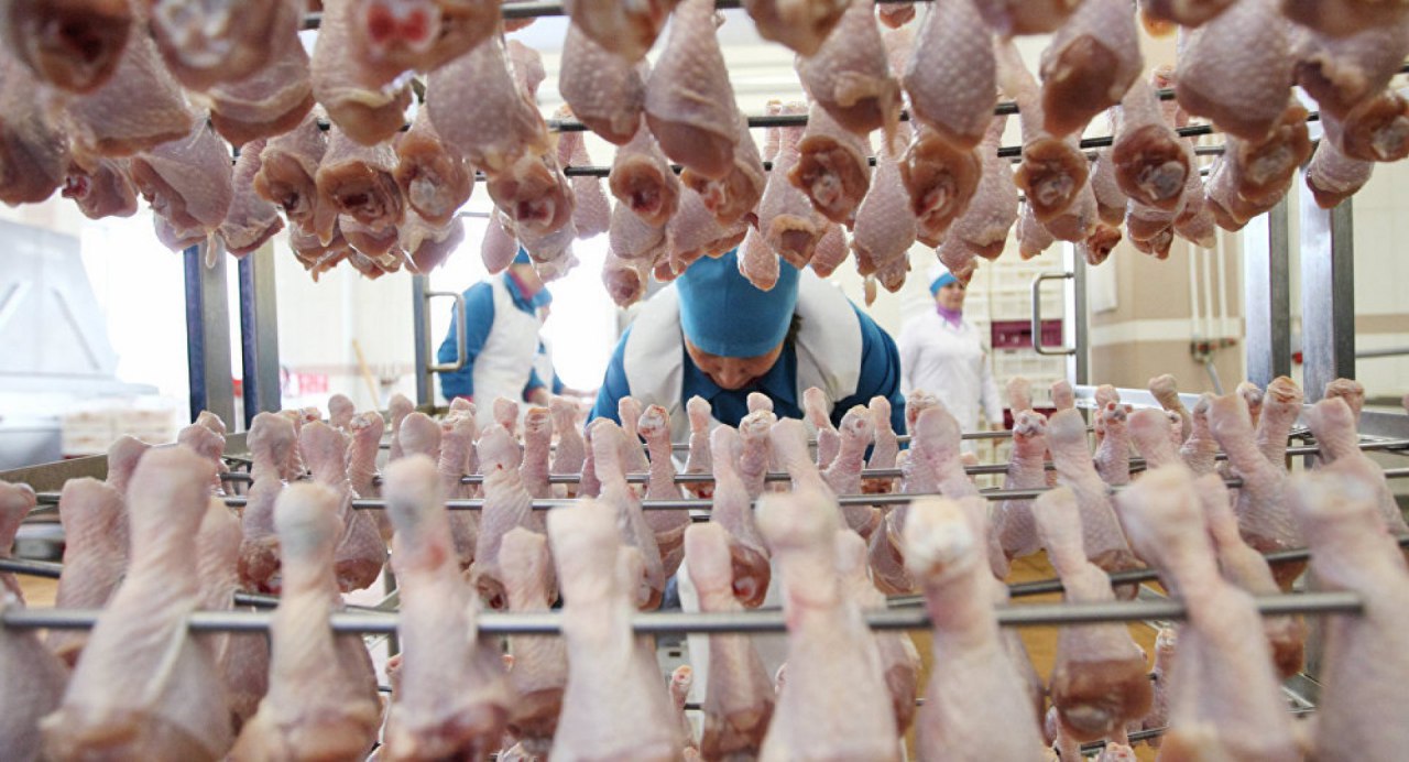 Россия в 2019 году может поставить в Китай мяса птицы более чем на $100 млн