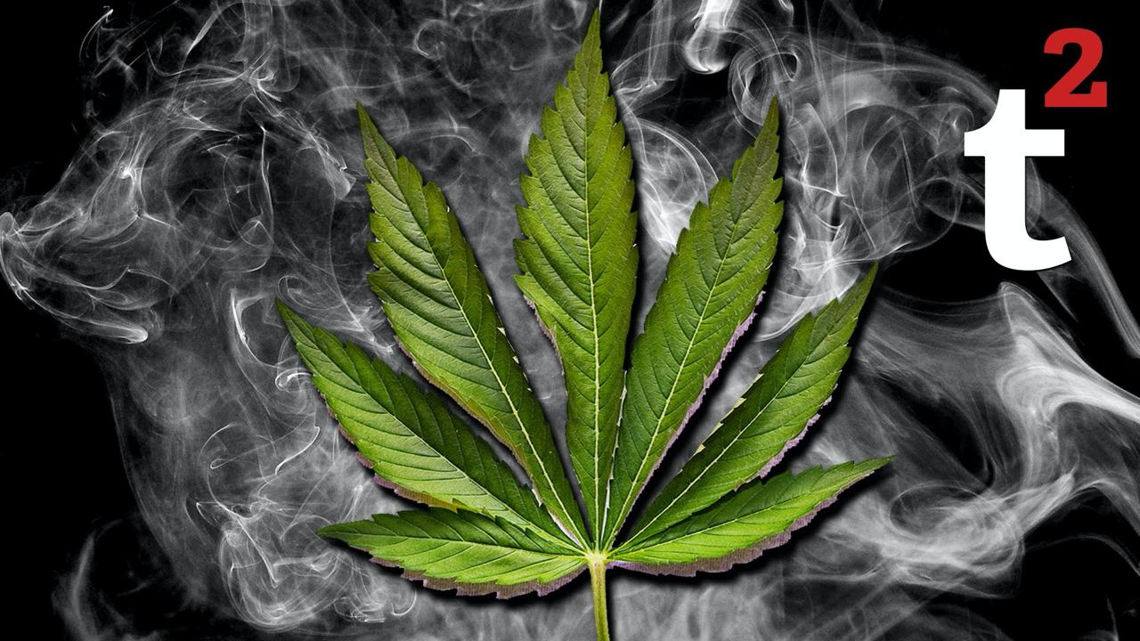 Стенд ап о марихуане хим наркотика