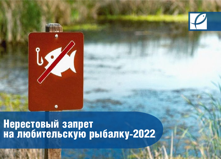 Запрет на рыбалку 2024г