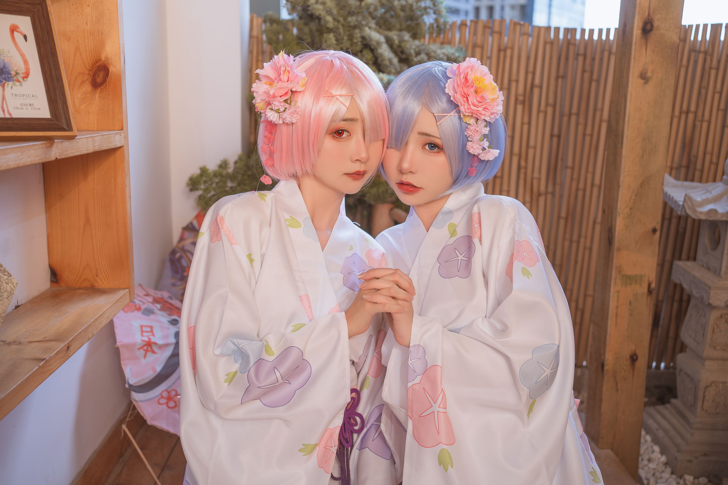 双子：拉姆蕾姆（9月1会员资源） 18