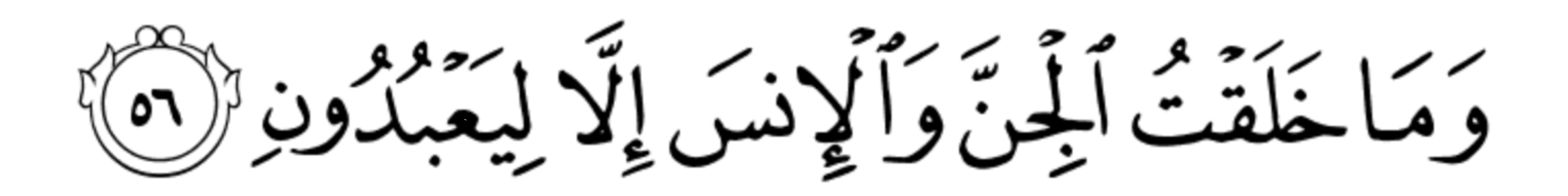 Аят 51 56. Сура аз Зарият. 51 56 Коран. Аз Зарият 56 аят. Quran 40:19.