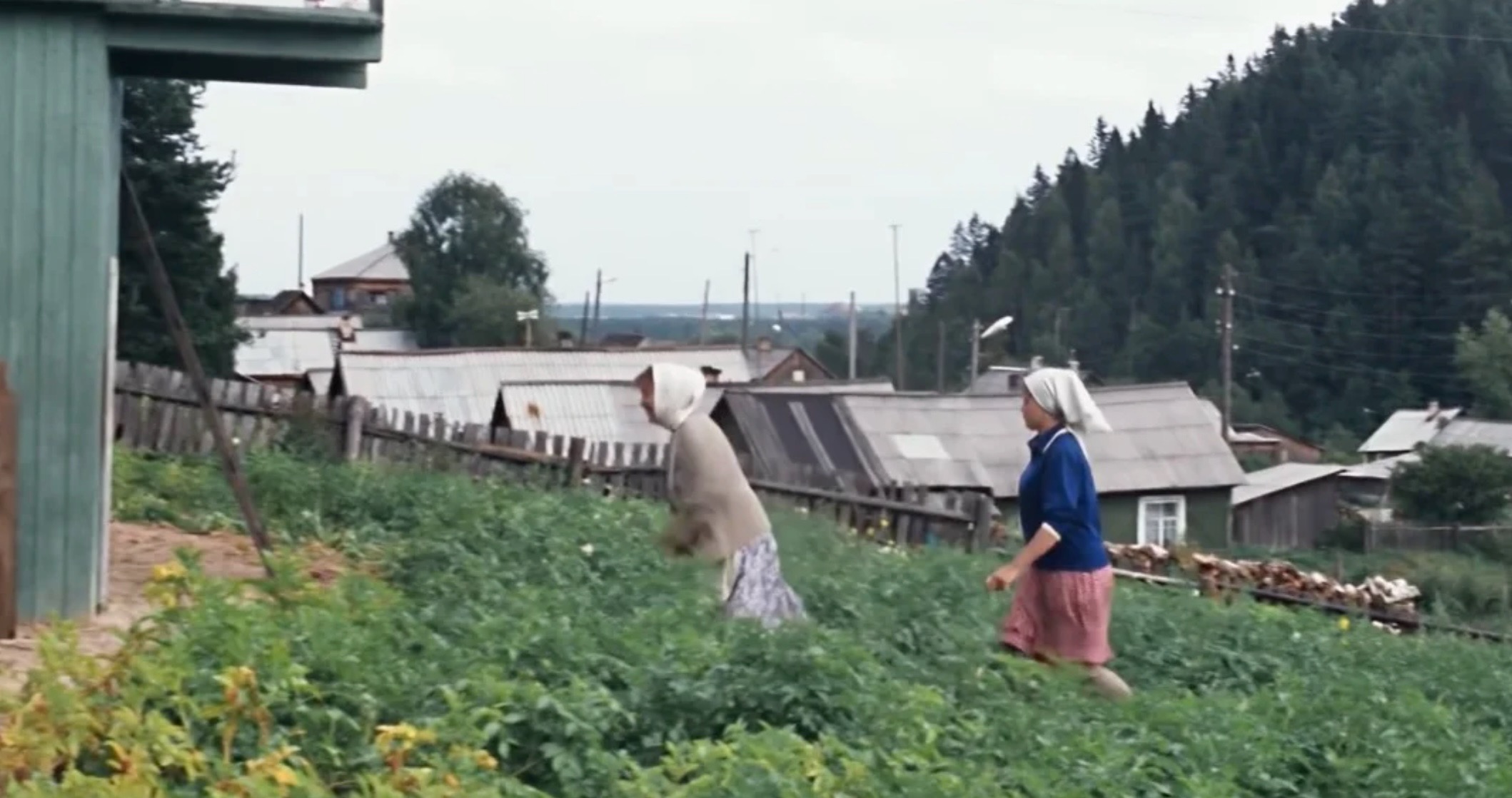 Где снимали любовь. Медвежьегорск Карелия любовь и голуби. Река в фильме любовь и голуби. Любовь и голуби место съемок Карелия деревня. Фильм любовь и голуби Карелия.