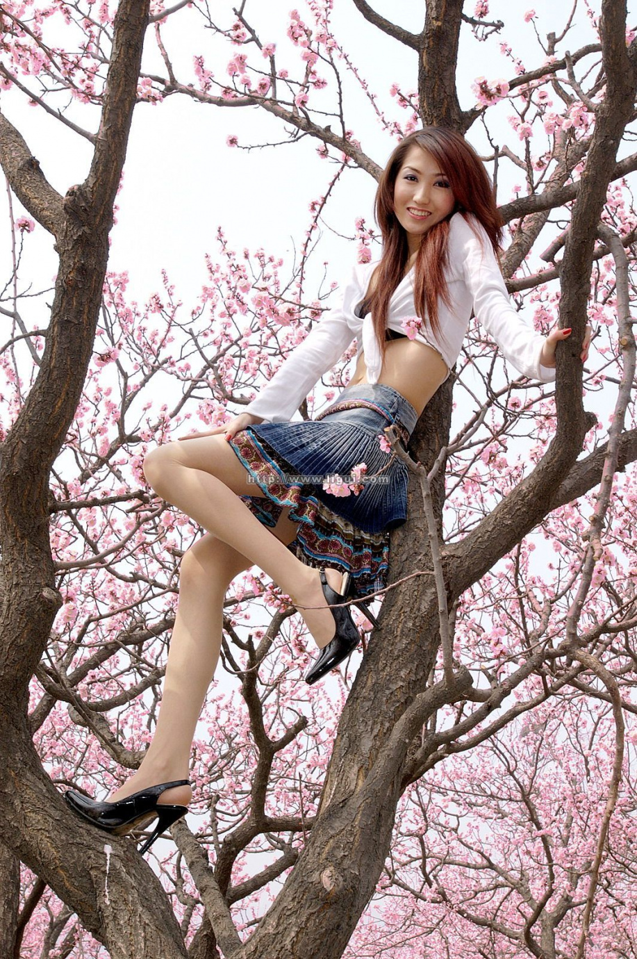 [Image: 50433dc83698a869ae4a8.jpg]