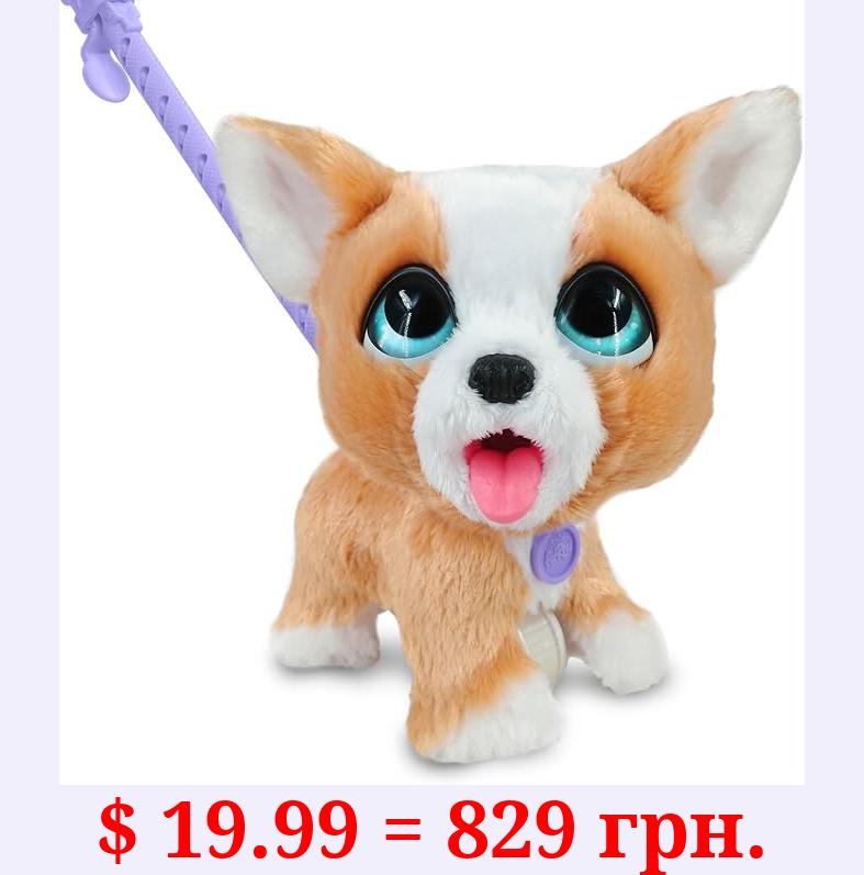 furReal Poop-A-Lots Corgi Interactive 8-inch Walking Plush Stuffed Animal, Pooping Puppy with Leash, 14-pieces, Kids Toys for Ages 4 Up by Just Play
