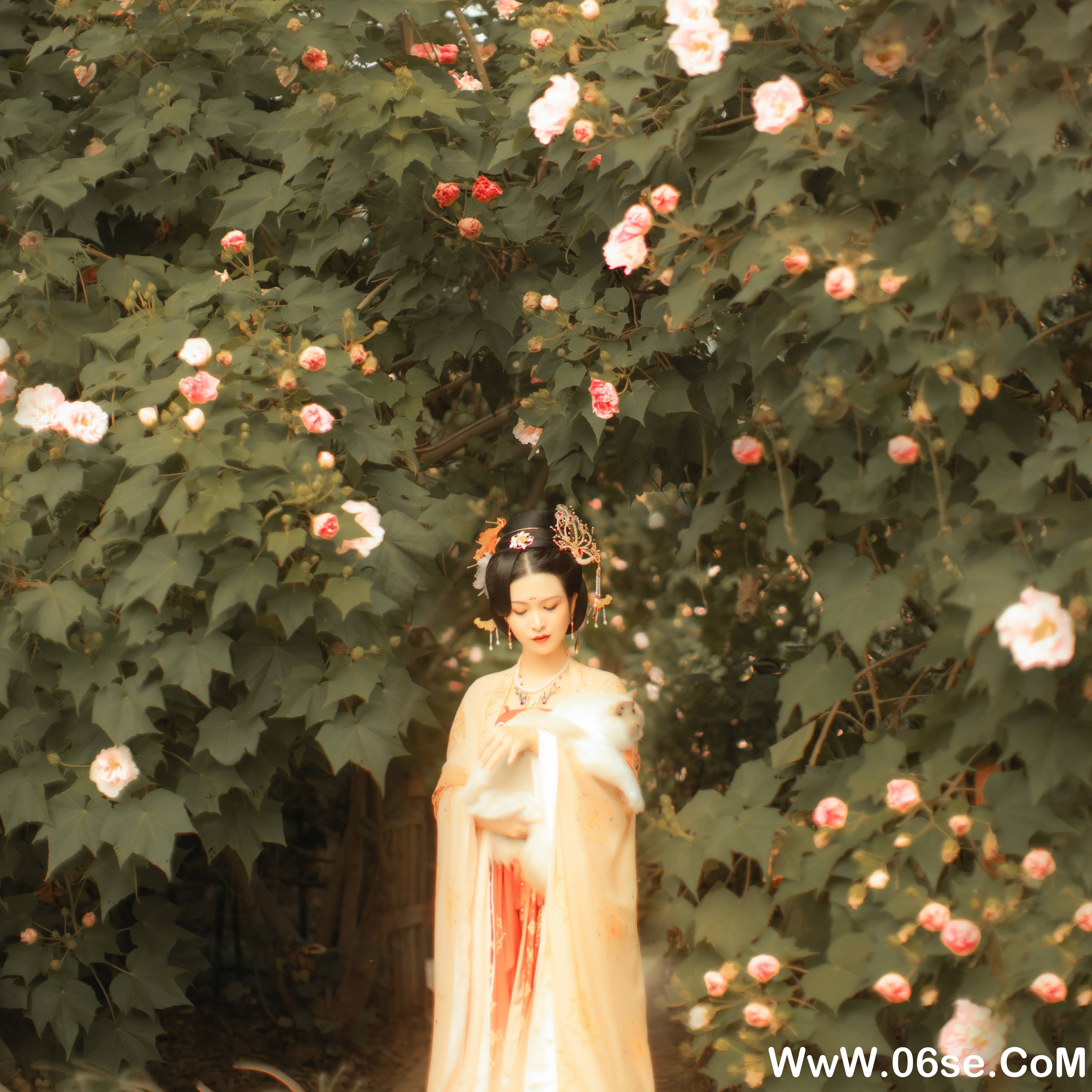 图片[35]-[YITUYU艺图语]2021.11.18 芙蓉词 修水凝花[37+1P／515MB]-六色网