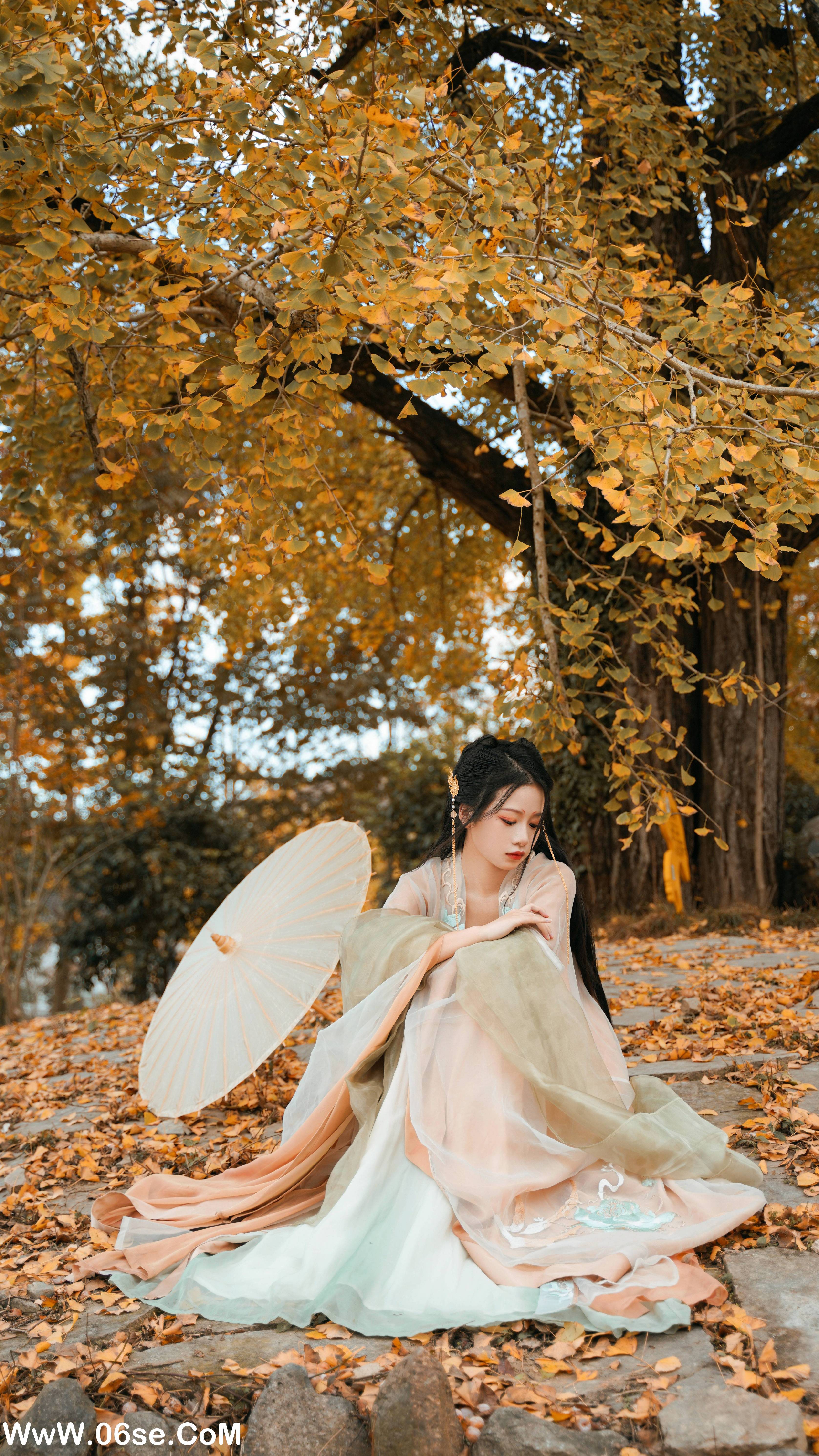 图片[24]-[YITUYU艺图语]2022.12.12 银杏树下 旺旺小小舒[38+1P／467MB]-六色网