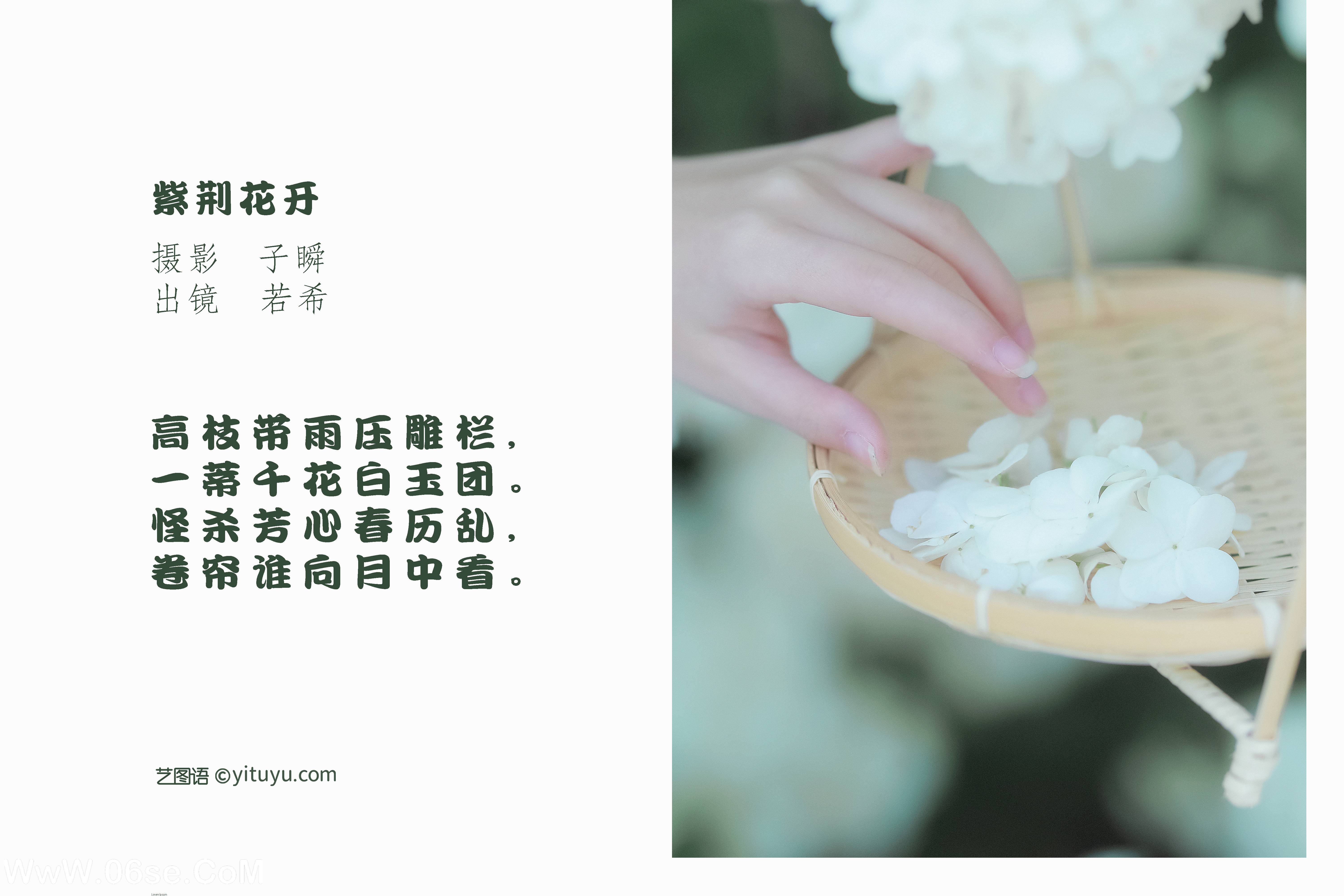 图片[2]-[YITUYU艺图语]2022.05.20 紫荆花开 若希icy[23P-614.49 MB]-六色网