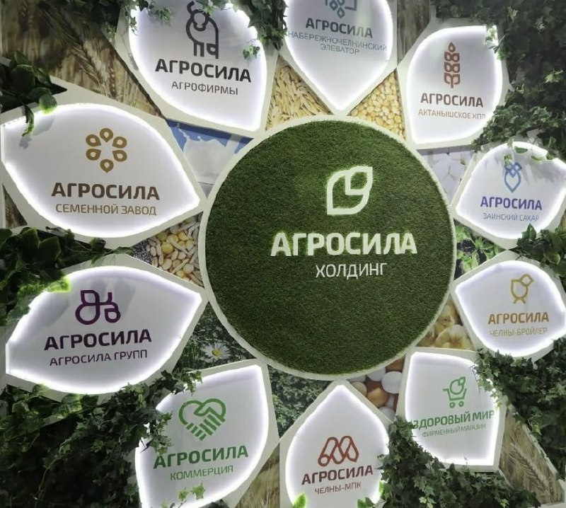 «Агросила» вышла на выручку 47,6 млрд рублей и запланировала инвестиции в 5 млрд рублей