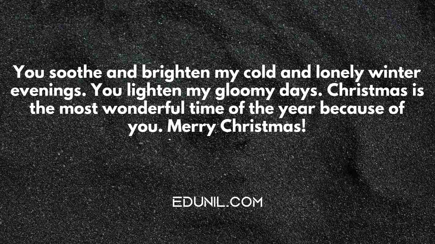 You soothe and brighten my cold and lonely winter evenings. You lighten my gloomy days. Christmas is the most wonderful time of the year because of you. Merry Christmas! - 
