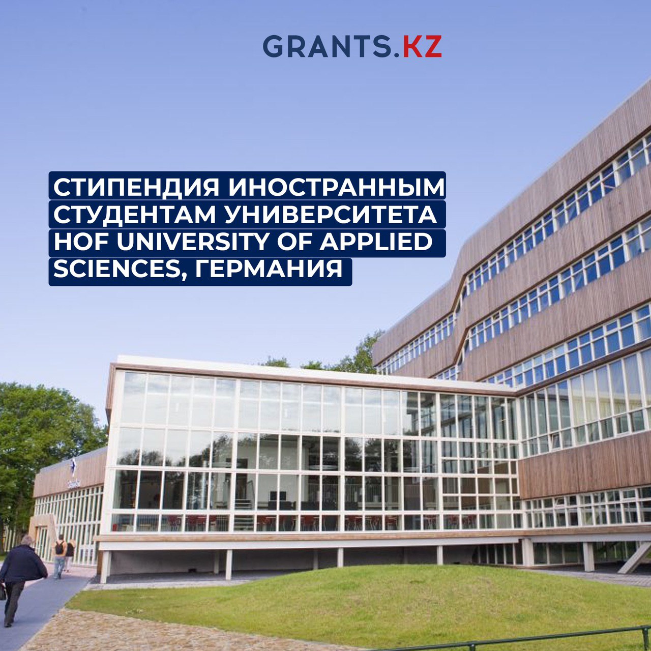 Гранты стипендии стажировки
