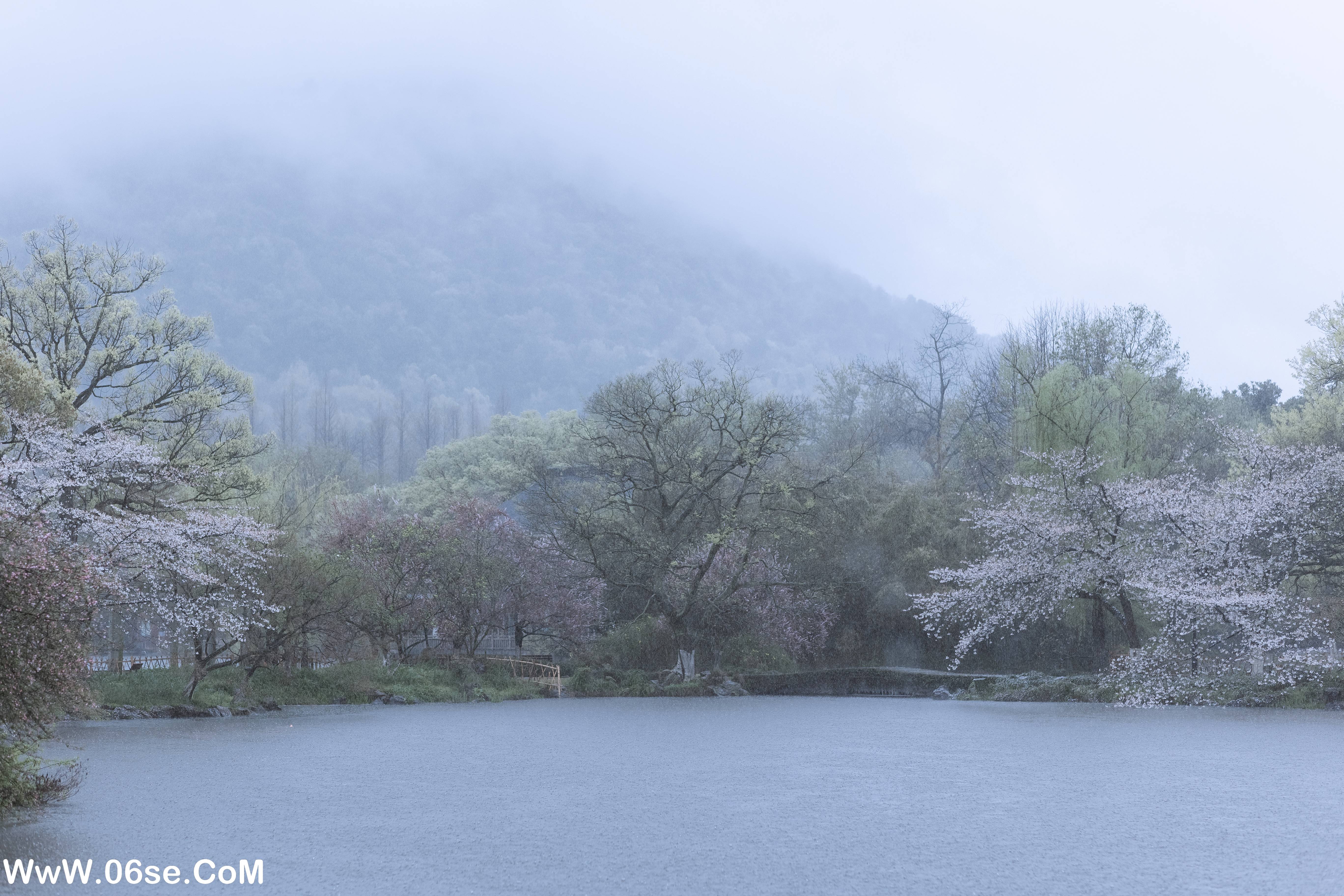 图片[44]-[YITUYU艺图语]2022.05.25 雨樱花 眸小妖[46P-454.3MB]-六色网