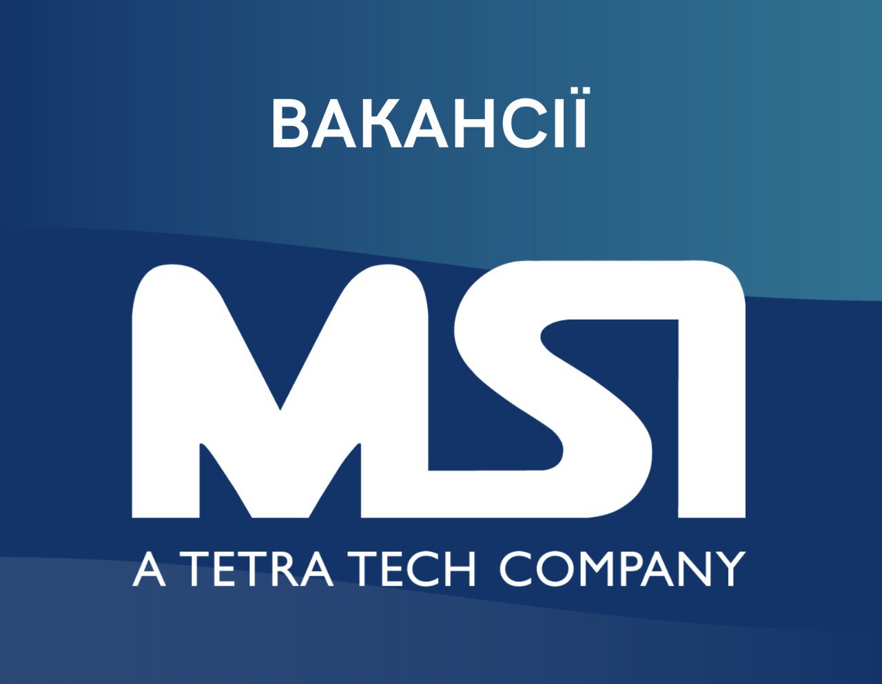 Msi автобернинг. Tetra Tech Company. Tetra Tech.