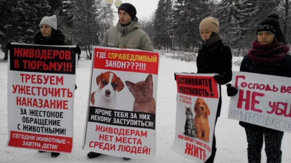 Против живодеров. Живодерам нет. Плакаты против живодеров.