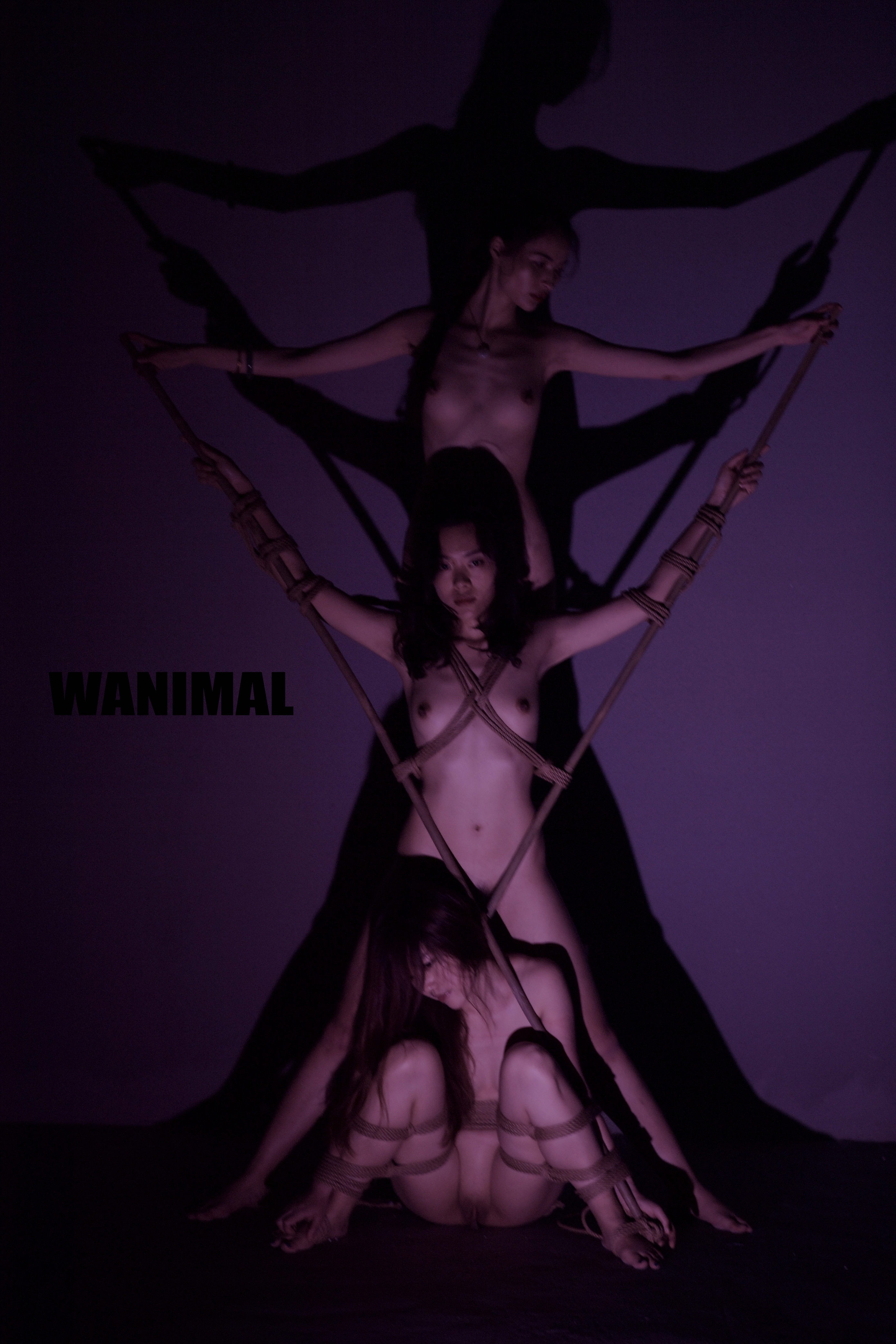 王动WANIMAL - SM绳艺 150P 78