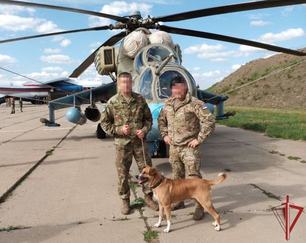 Сотрудник хабаровского ОМОН вернулся из командировки со спасенной собакой