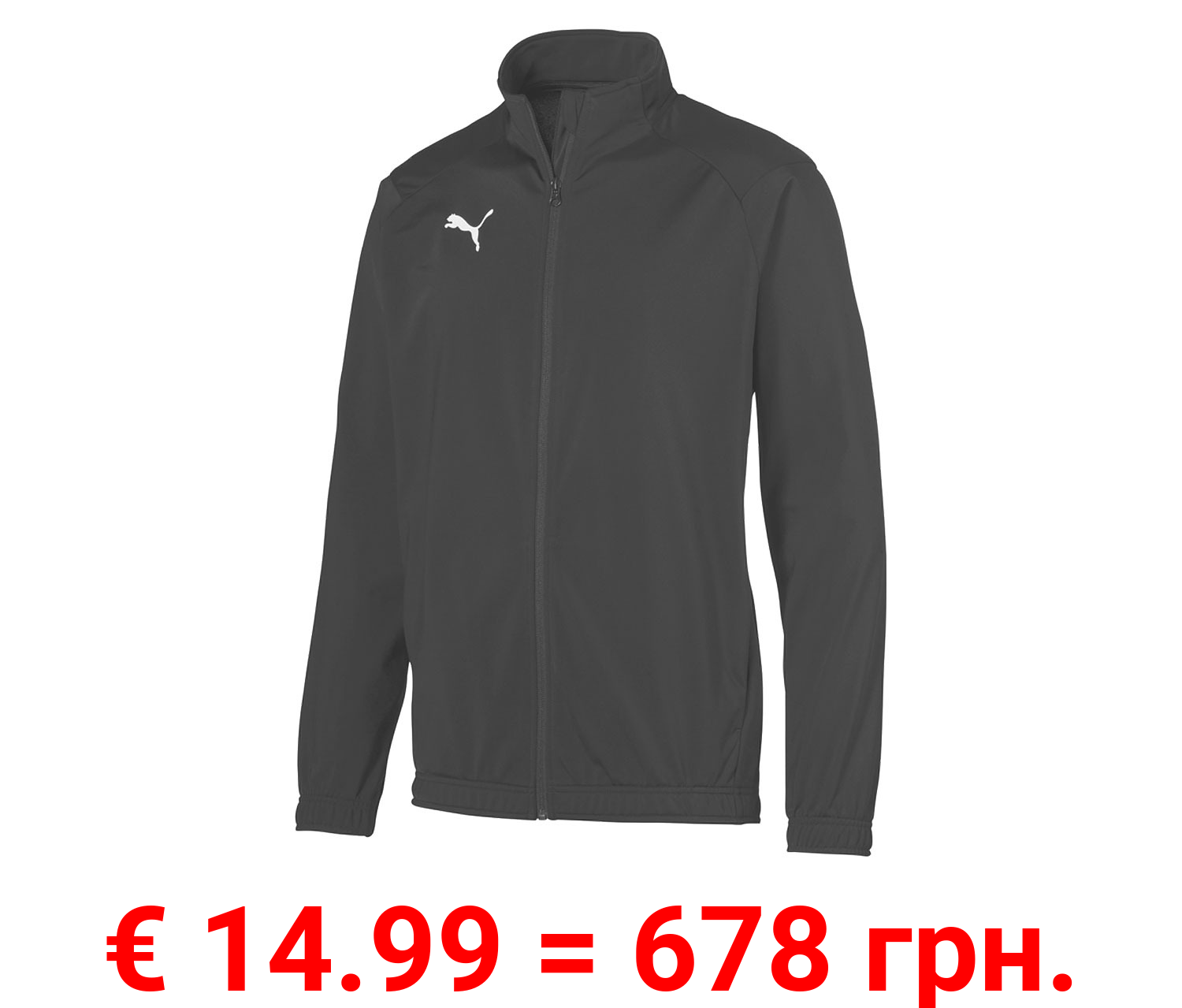 Puma Herren Liga Sideline Jacke