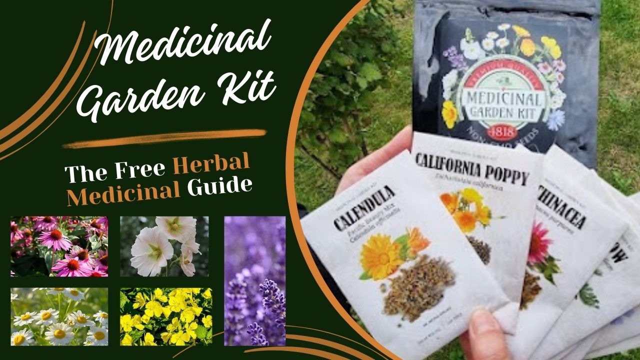 A Comprehensive Review: Unleashing The Power Of The Medicinal Garden ...