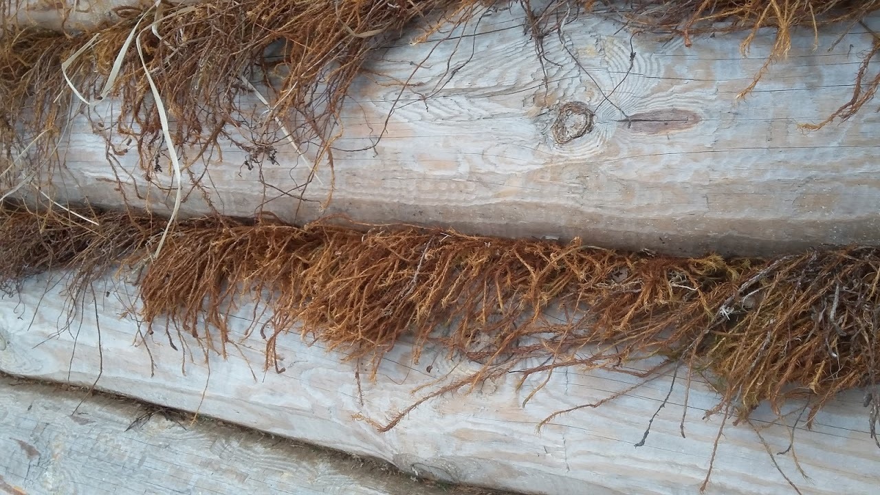 Инструменты для конопатки – Telegraph