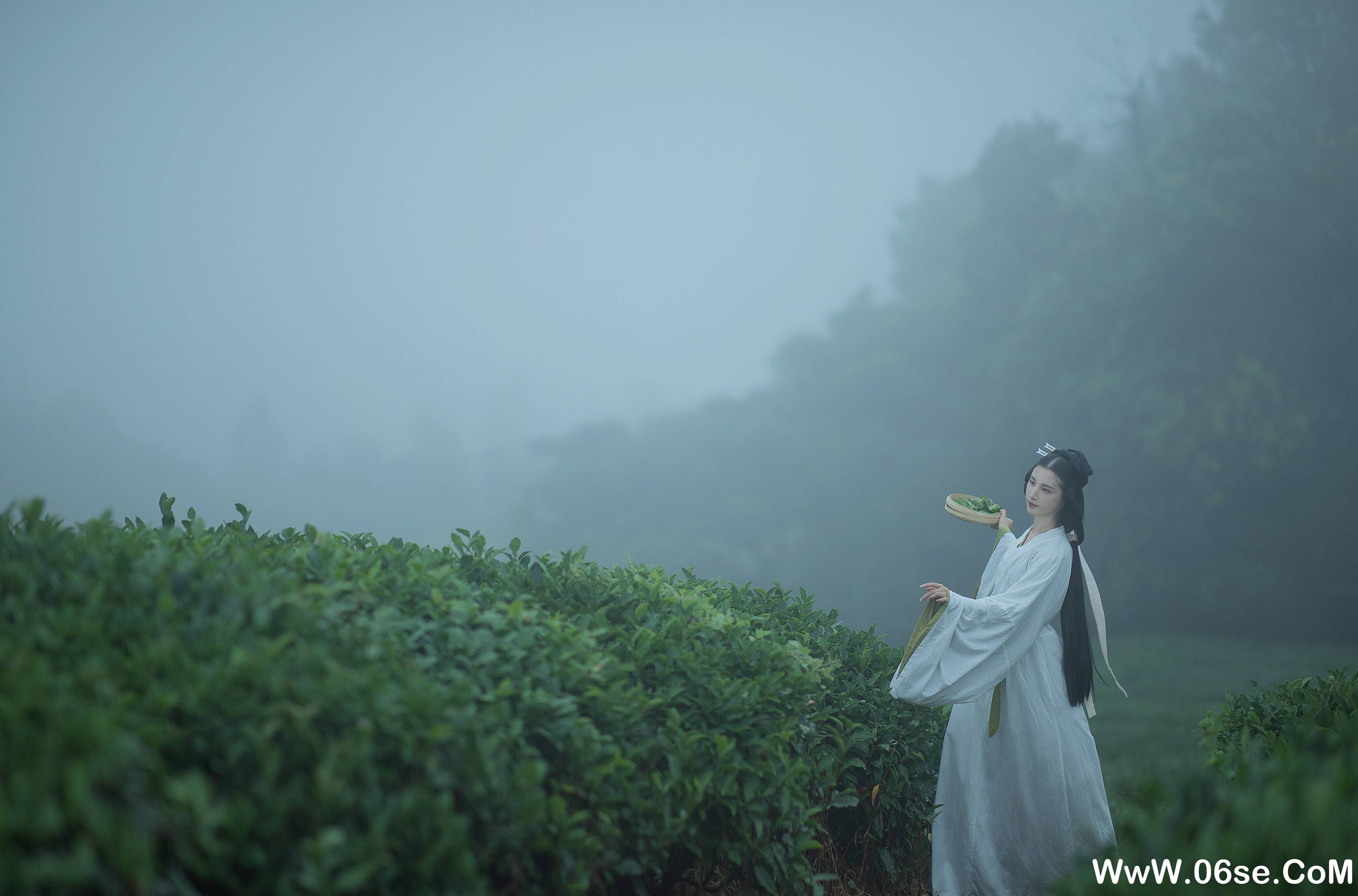 图片[5]-[YITUYU艺图语]2021.12.02 采茶女 十八重川[19+1P／151MB]-六色网