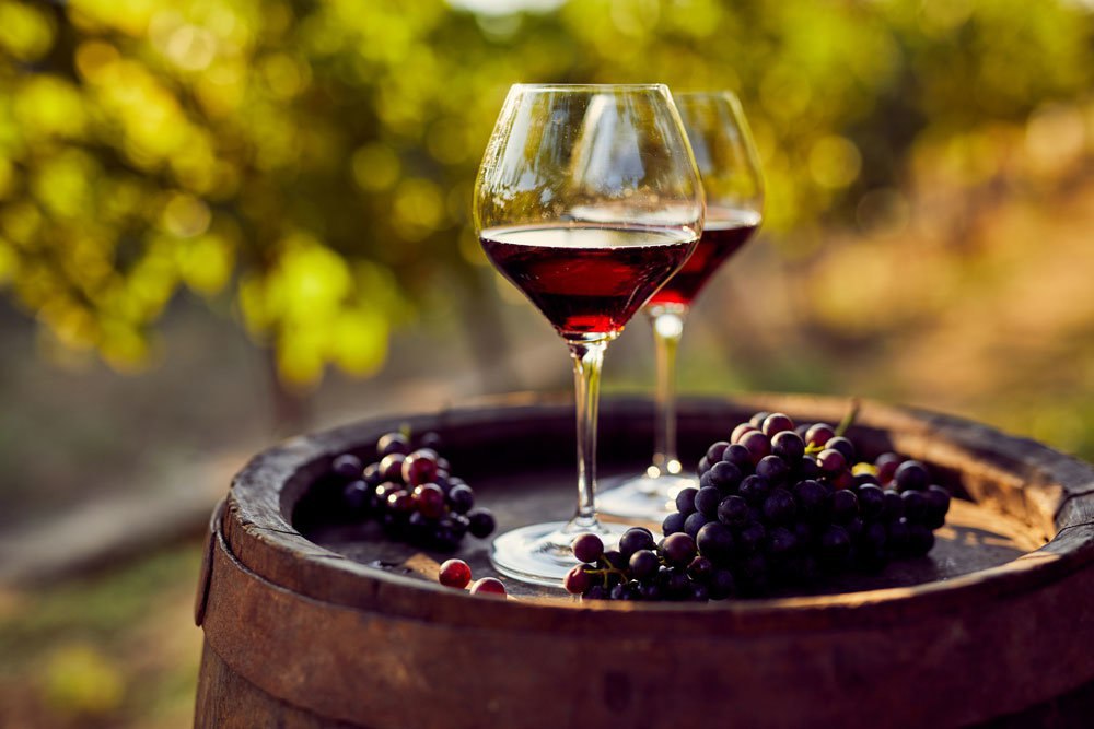 Госдума приняла во втором чтении законопроект о развитии виноградарства и виноделия в России