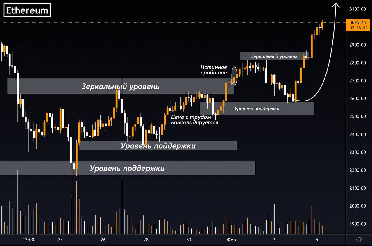 Profinance quote show