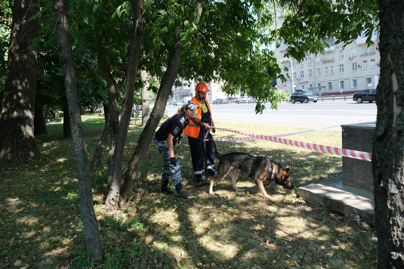 Сао город москва. Рейд по собакам. Картинки ветеранов САО Г. Москвы.