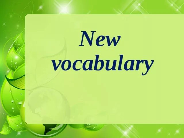 Learn new vocabulary