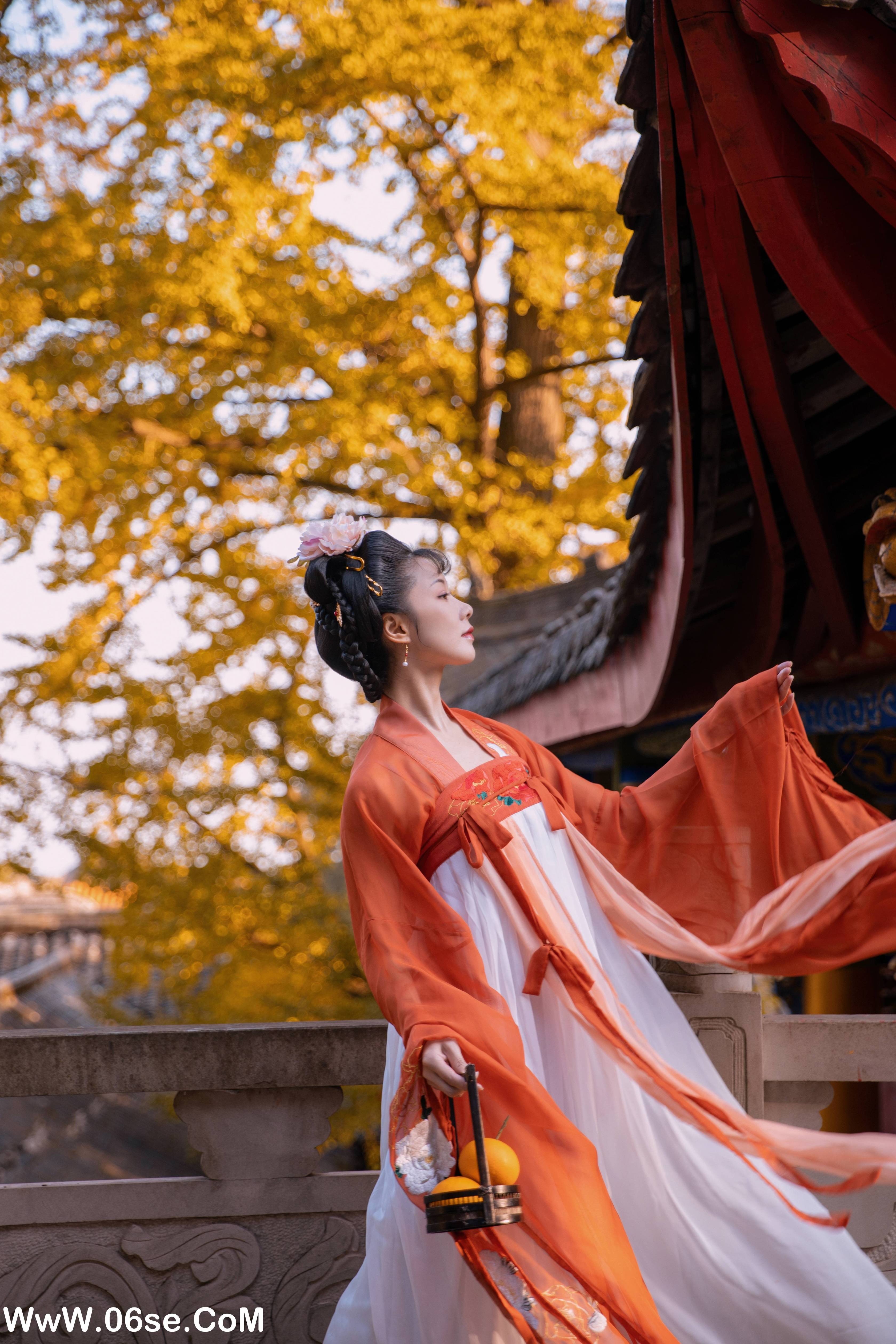 图片[11]-[YITUYU艺图语]2022.11.30 银杏 木景抒[19+1P／463MB]-六色网