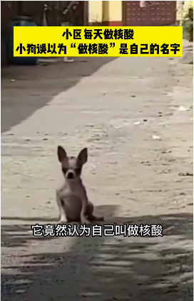https://telegra.ph/file/55ccd4c8bec1d0e6fd98a.png