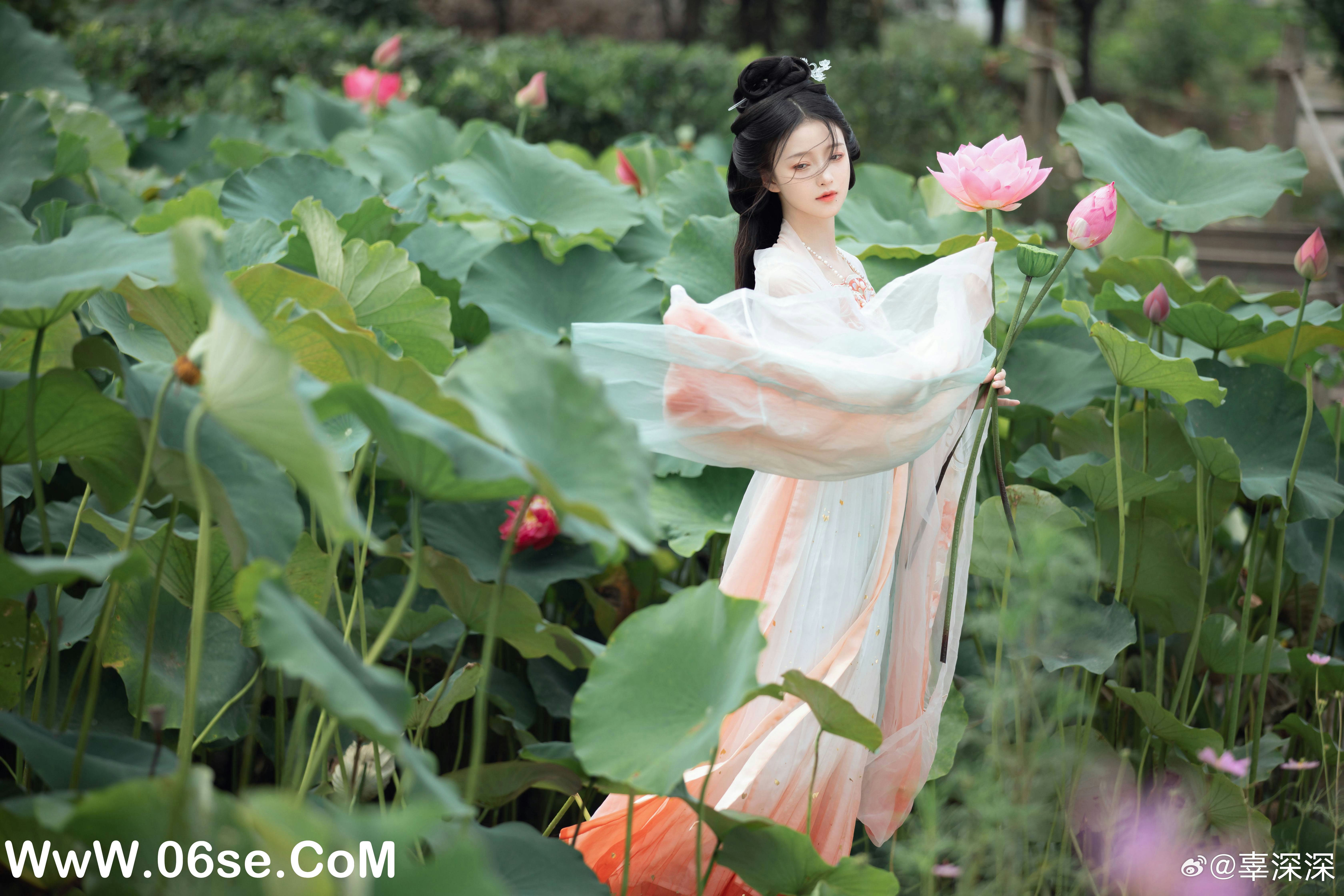 图片[51]-098 迷失幻境系列 – 第098期（苏幕遮） [57P-307.86 MB]-六色网