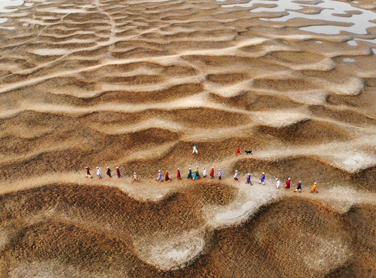 Like desert. Песчаная отмель. Коса Песчаная отмель. Песчаная отмель на реке. Грязевая отмель.