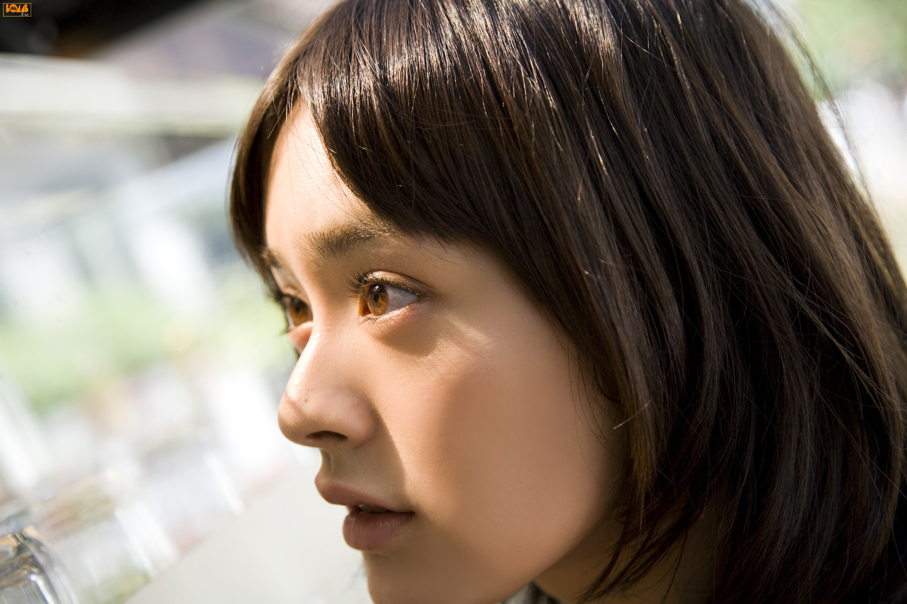 [Image: 56cccaba03b3f9137c7cd.jpg]