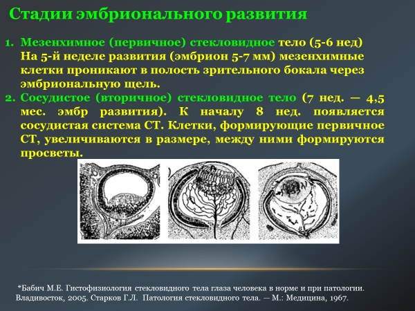 Стекловидное тело. Строение стекловидного тела. Стекловидное тело строение и функции. Объемная структура стекловидного тела. Особенности строения стекловидного тела.