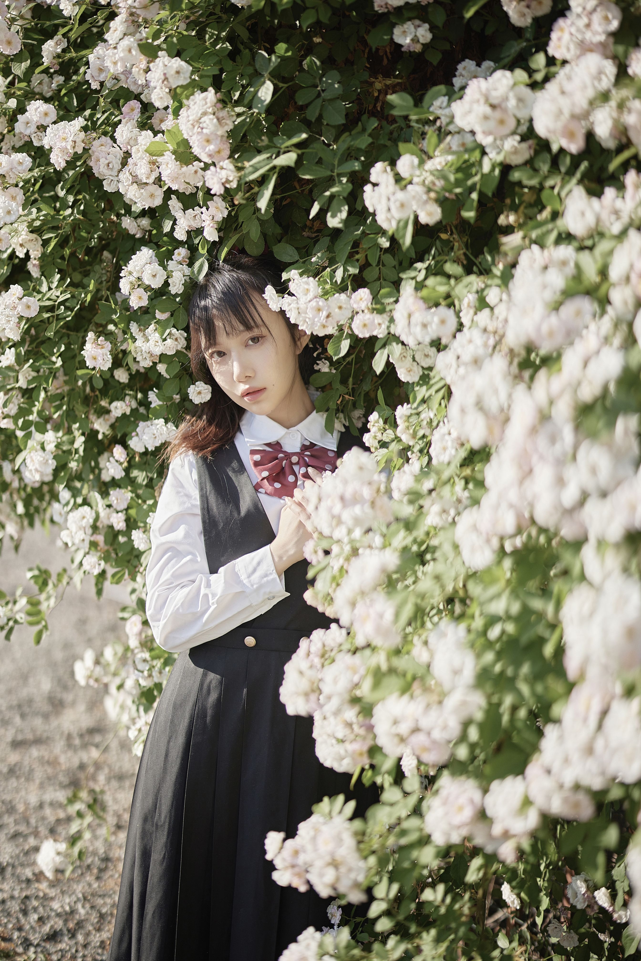 Shika小鹿鹿 - 蔷薇JK [14P-125MB] 13