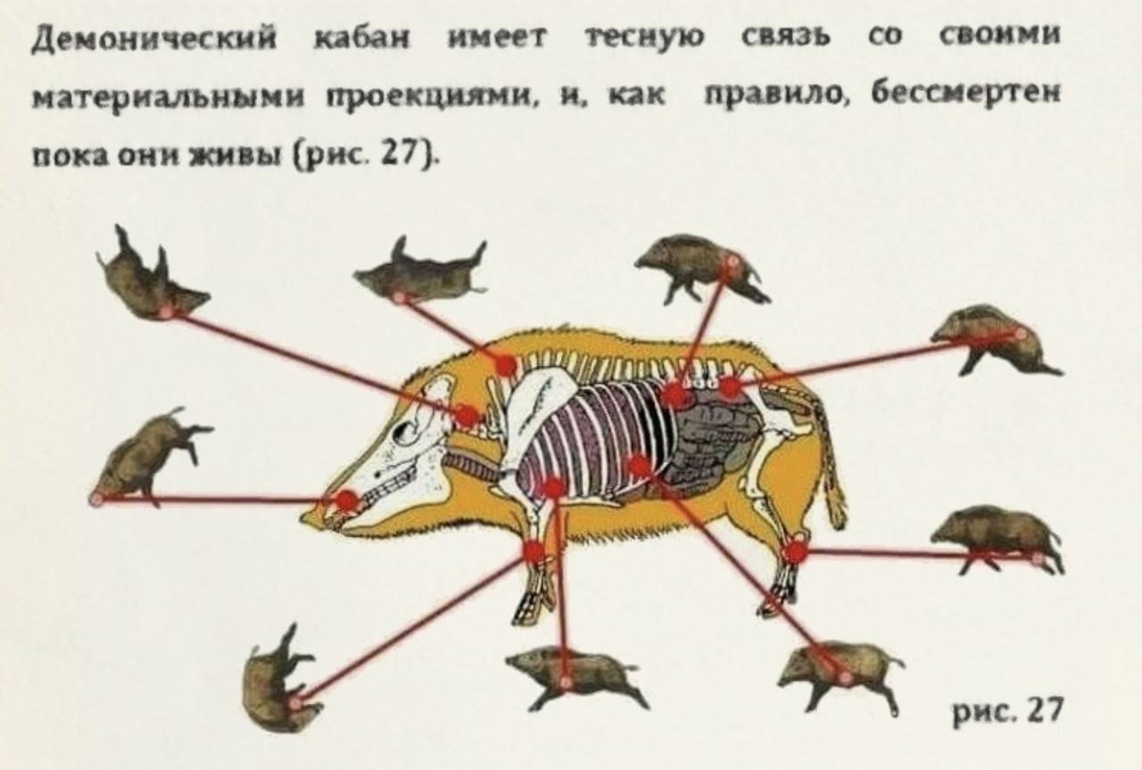 Кабан мадан твиттер. Куда стрелять кабана из карабина. Убойные места дикого кабана. Охота на кабана убойные места. Куда стрелять кабана убойные места.