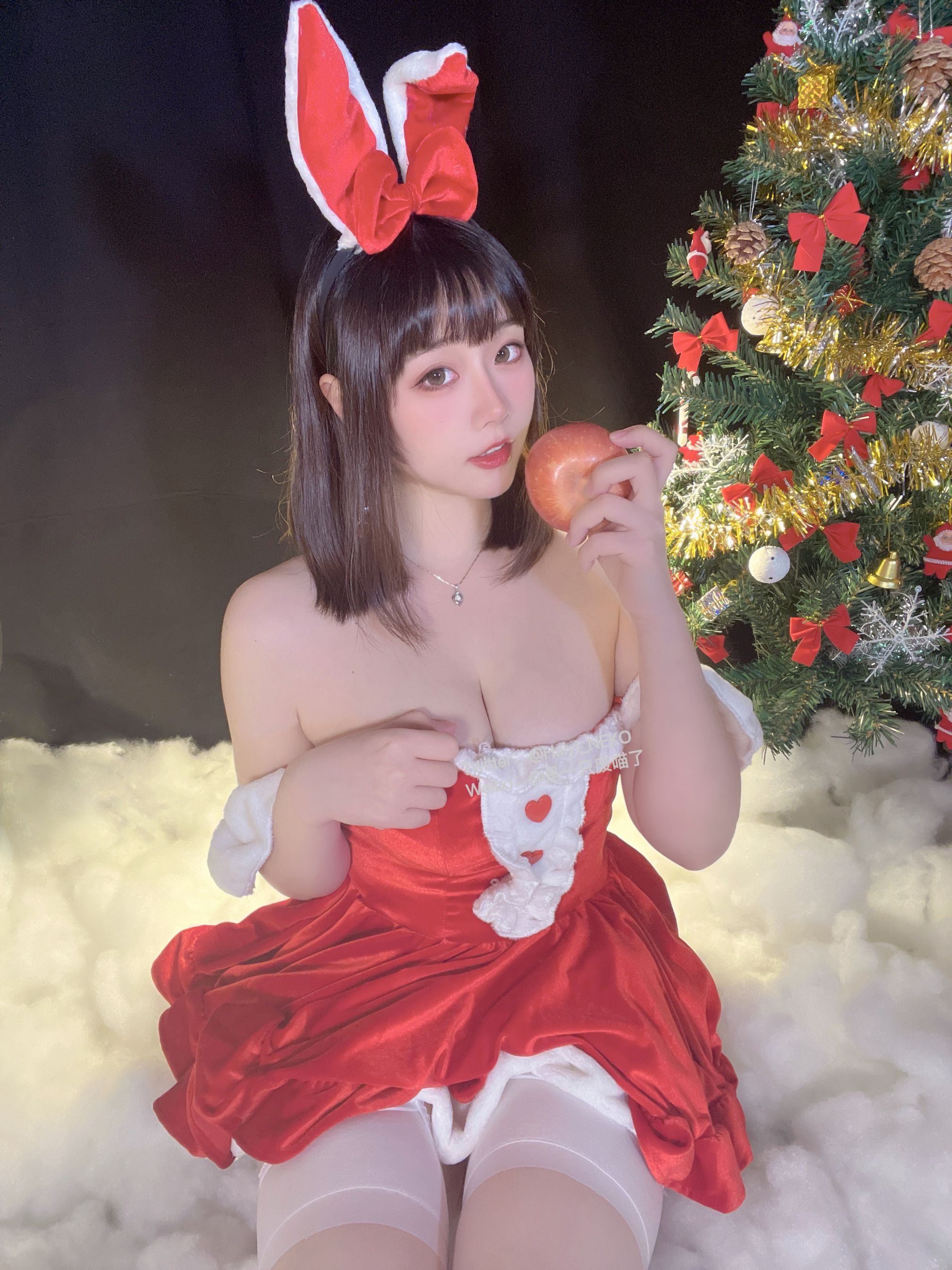 一只废喵 圣诞比基尼+连衣裙 [72P3V-620MB] 62