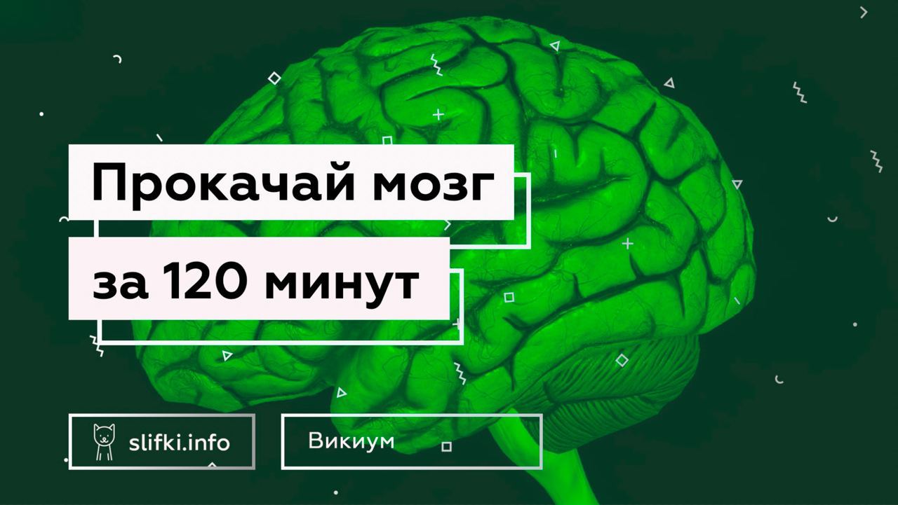 120 минут. Слифки. Курсы маркетинга прокачай мозг. Прокачай мозги Собери фигуру. Слифка 32протсен.