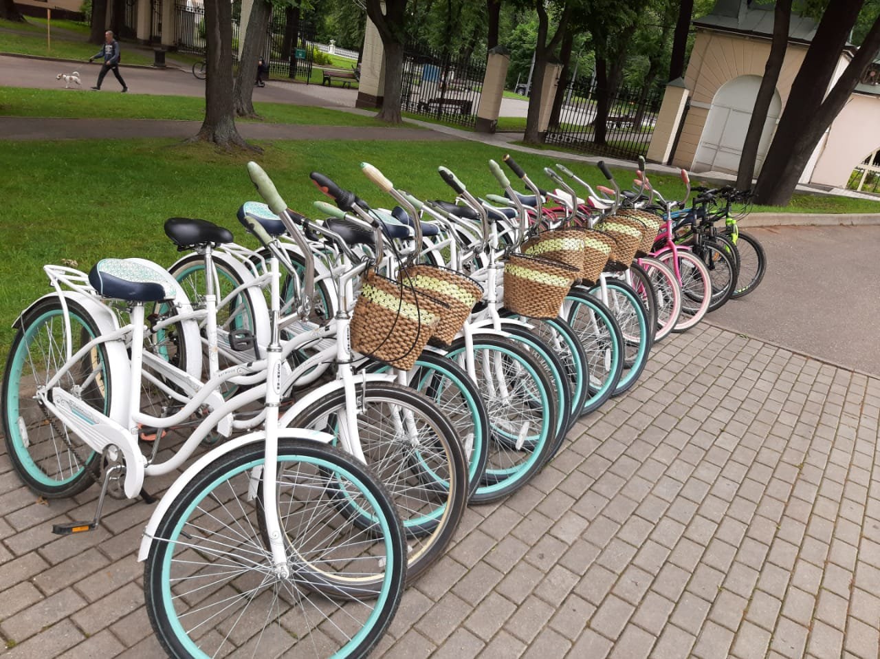Купить Велосипед В Оренбурге