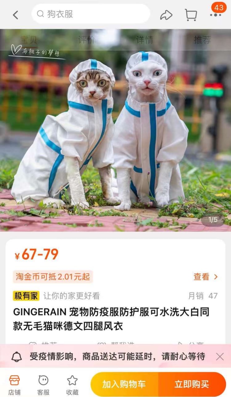 https://telegra.ph/file/57fddcb9b32ed40338fc6.jpg