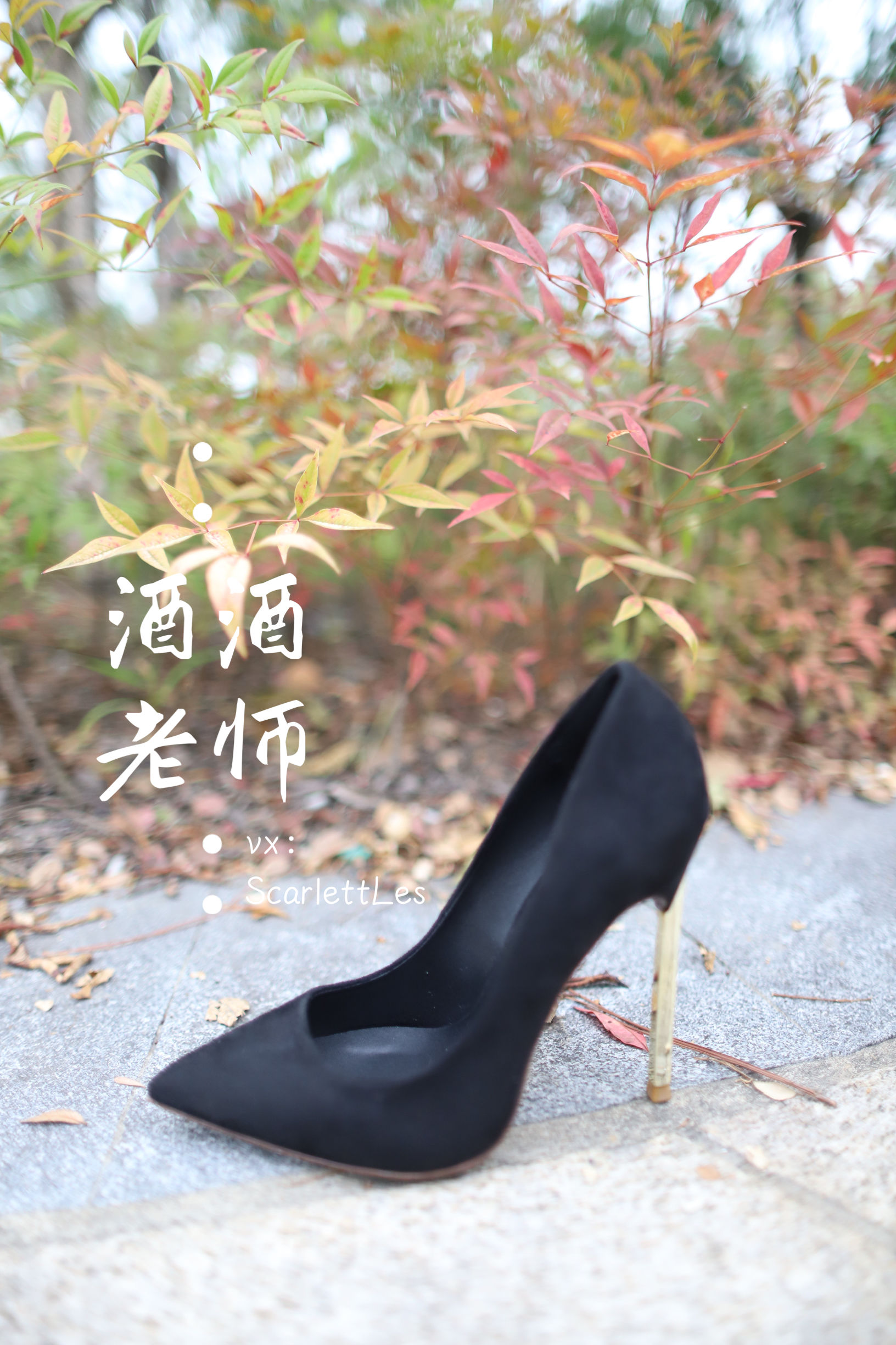 [福利COS]_酒酒老师_-_上课前误穿黒丝-写真图集共52P 1
