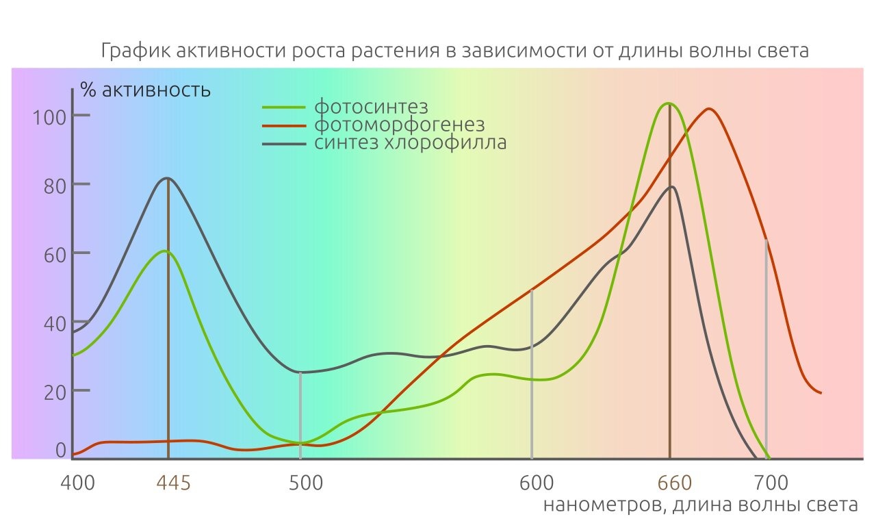 Свет график. Спектр света для марихуаны. График активности. Зависимость роста растений от света. Спектр излучения для конопли.