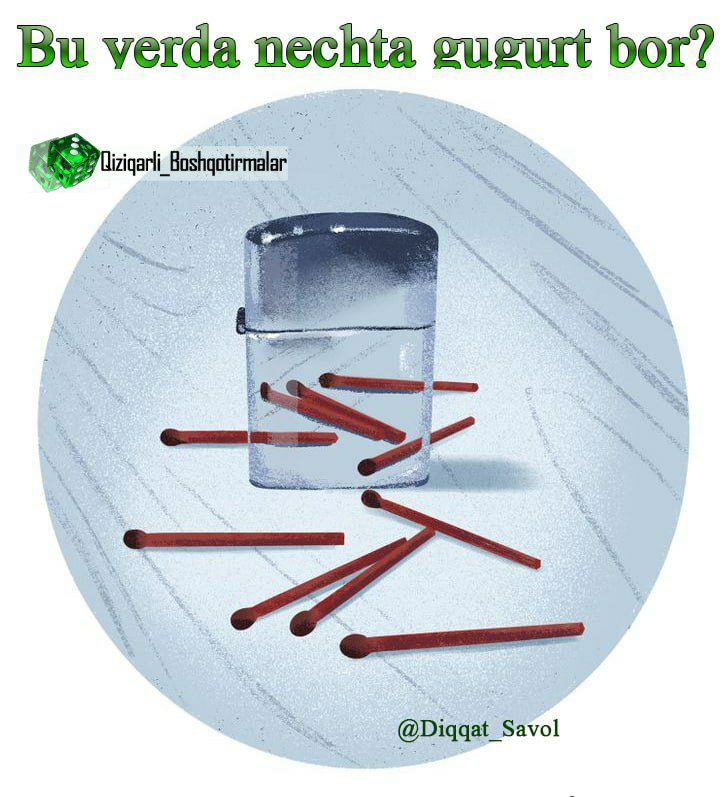Ayollar hojatxonasida mushuk