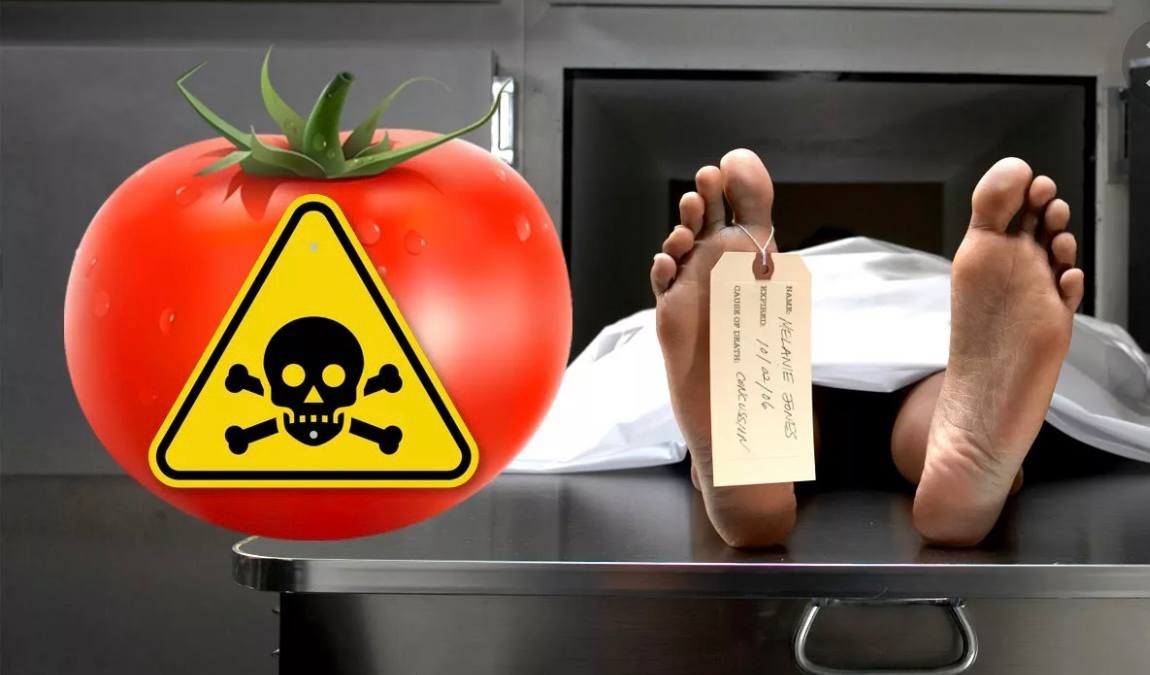 ОРТОРЕКСИЯ – Telegraph