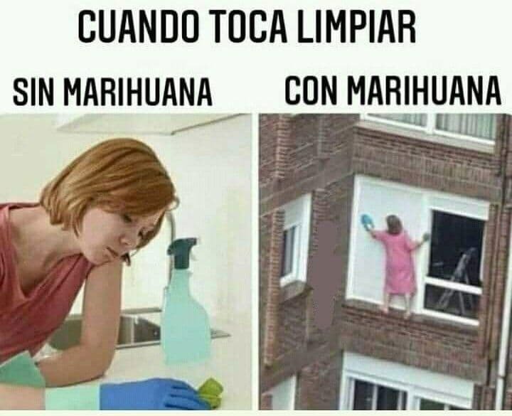 Con y sin marihuana